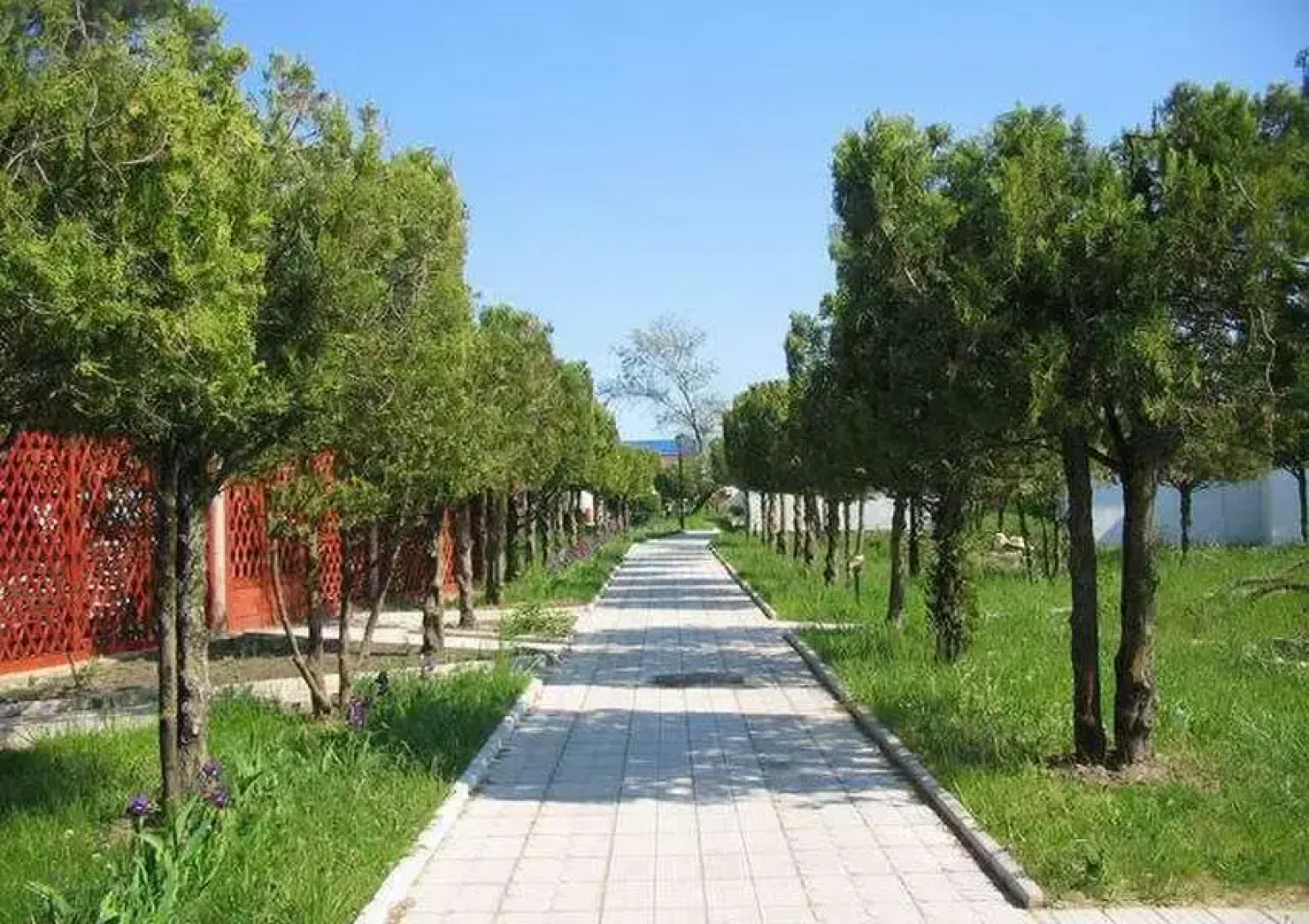 База отдыха Динамо 1