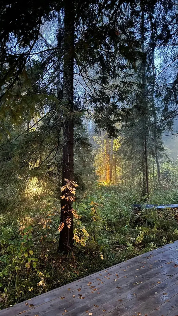 Гостевой дом в лесу