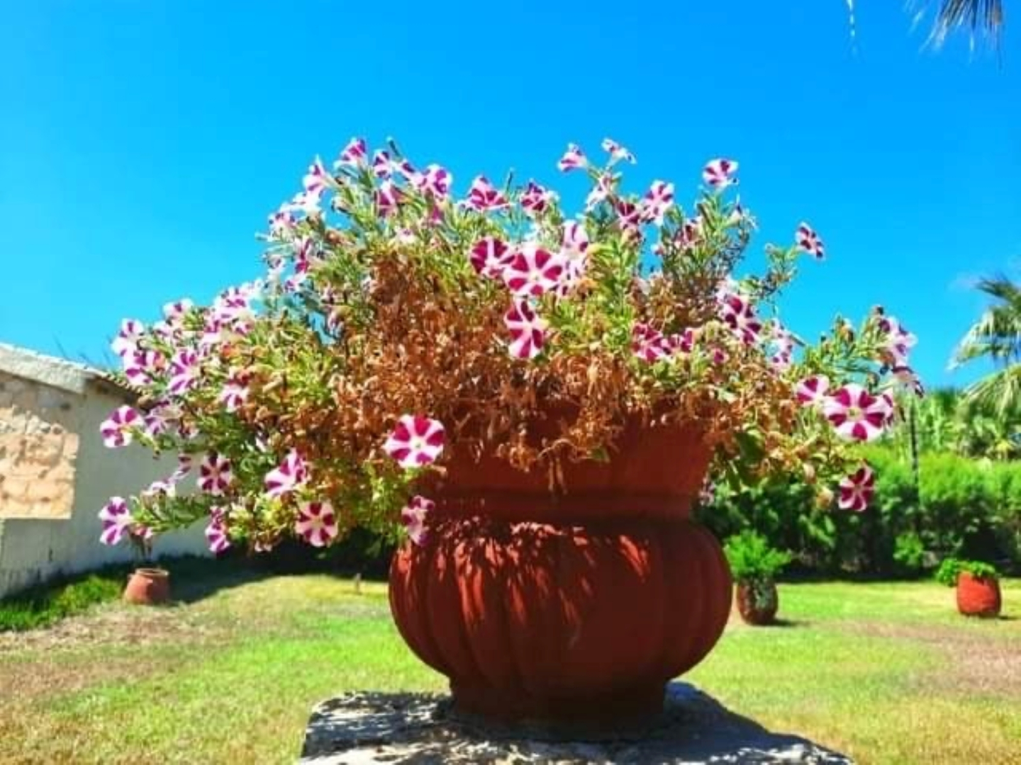 Апартаменты Stavros Villas