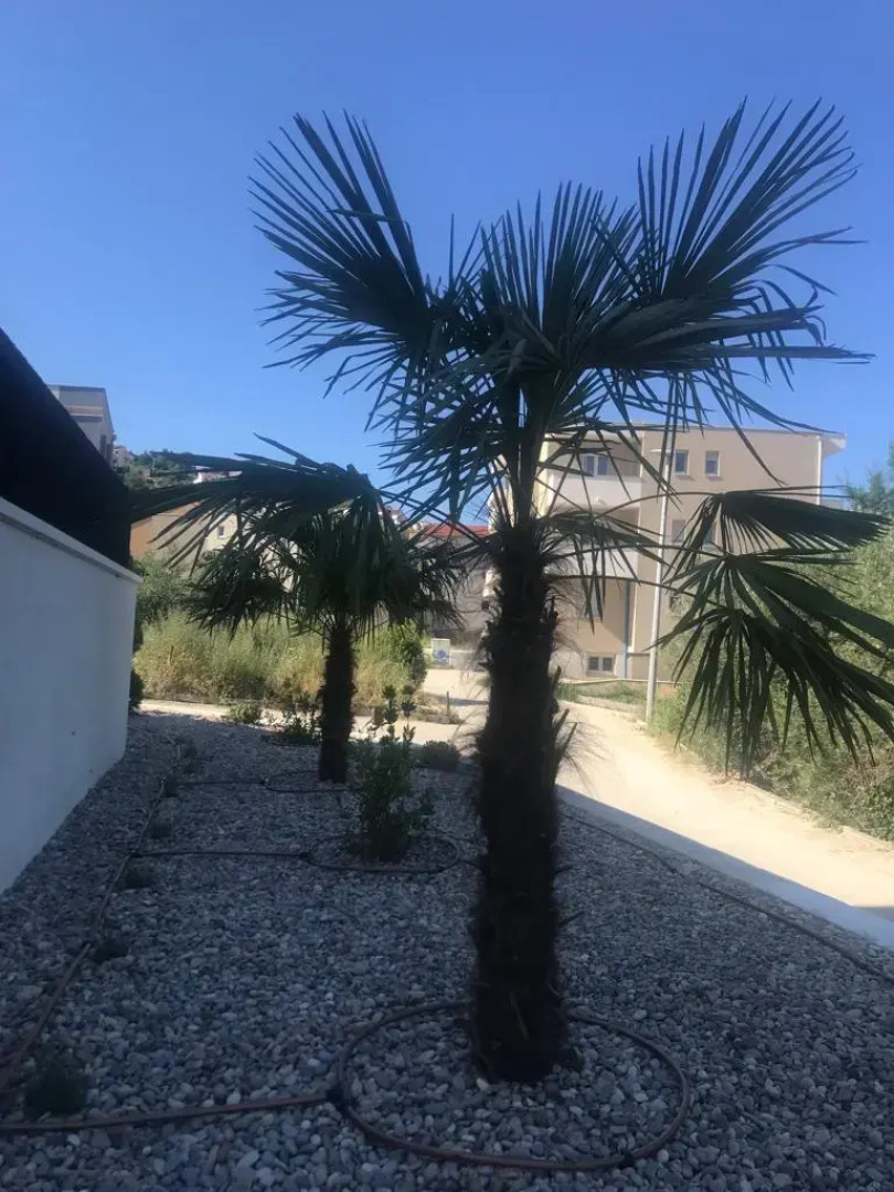 Вилла Urban Villa With Pool