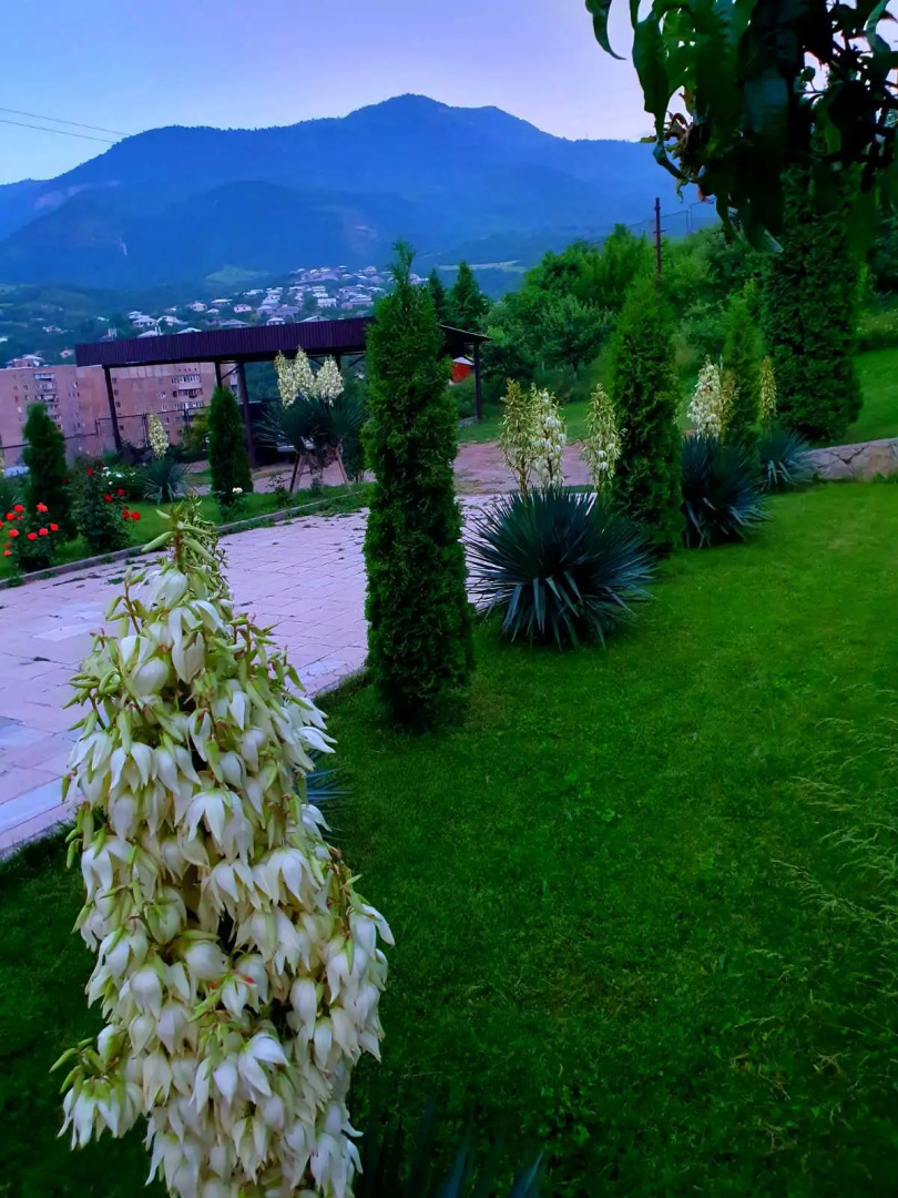 Гостевой дом Ijevan's Garden