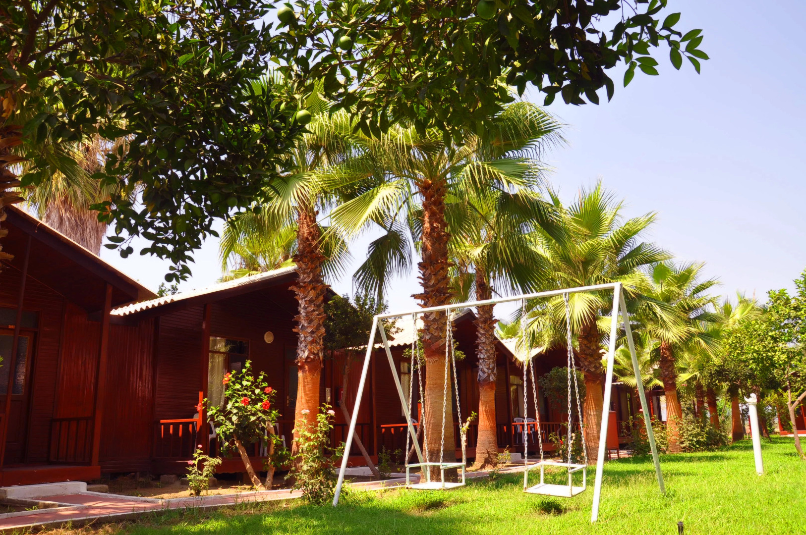 Отель Dream Park Bungalow