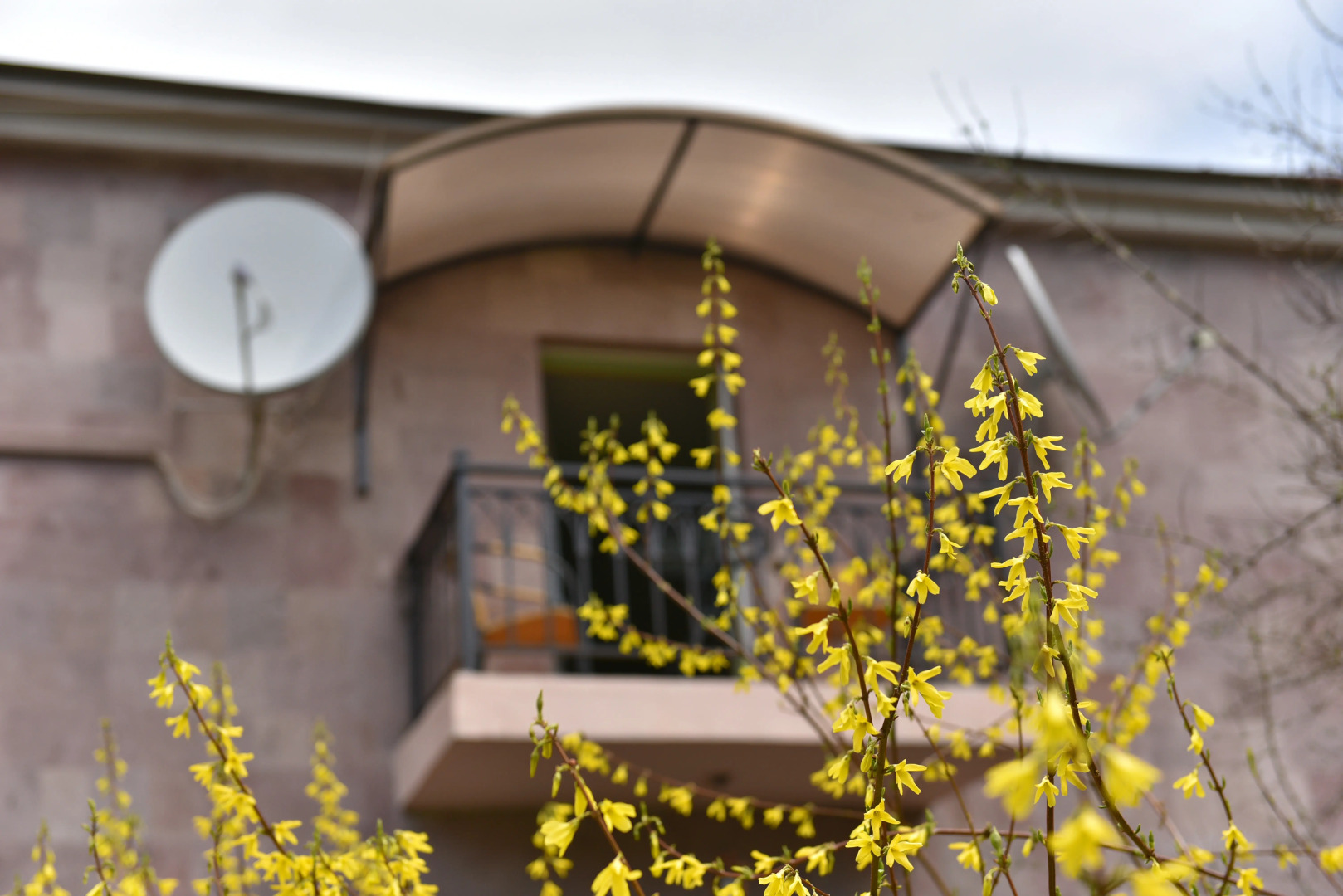 Отель Green Wood