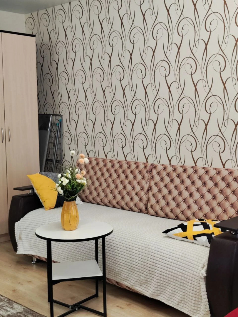 Апартаменты 1-комнатные в Центре Города на Ленина