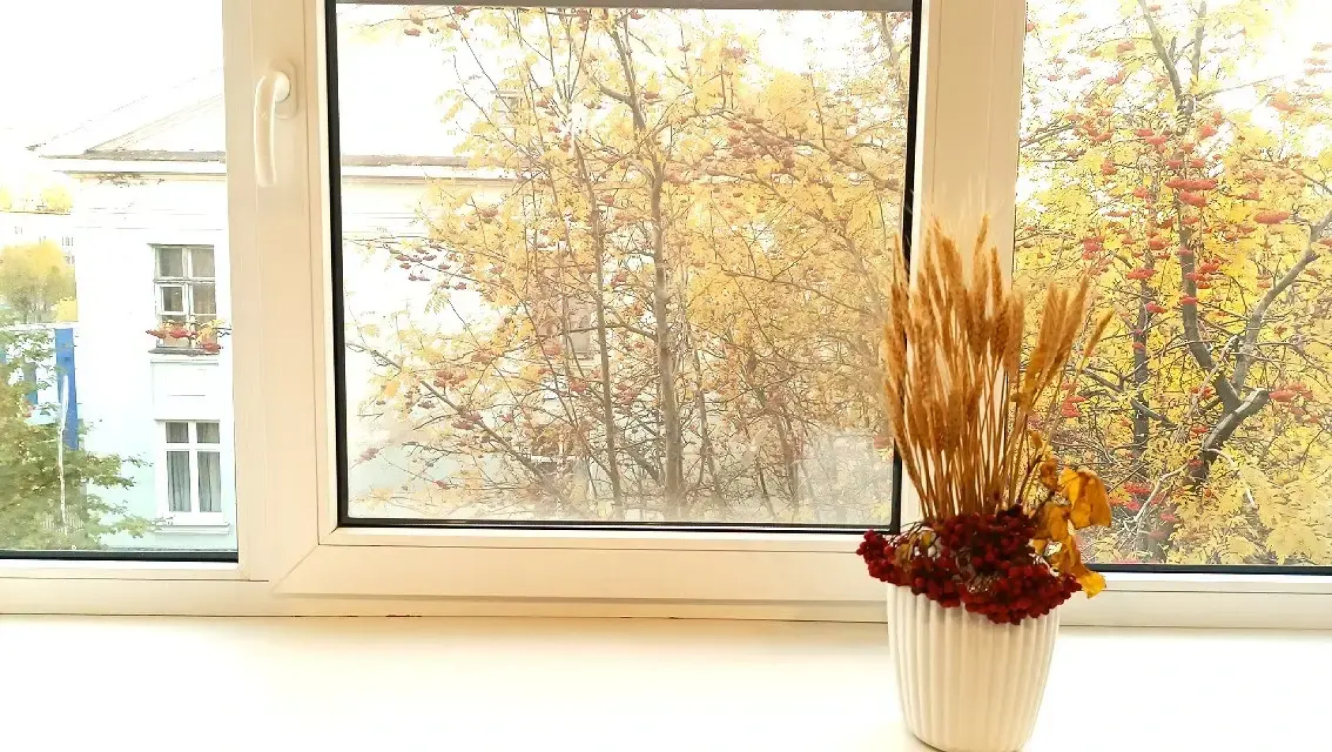 Квартира Уютный Север на Комсомольской 3 Б