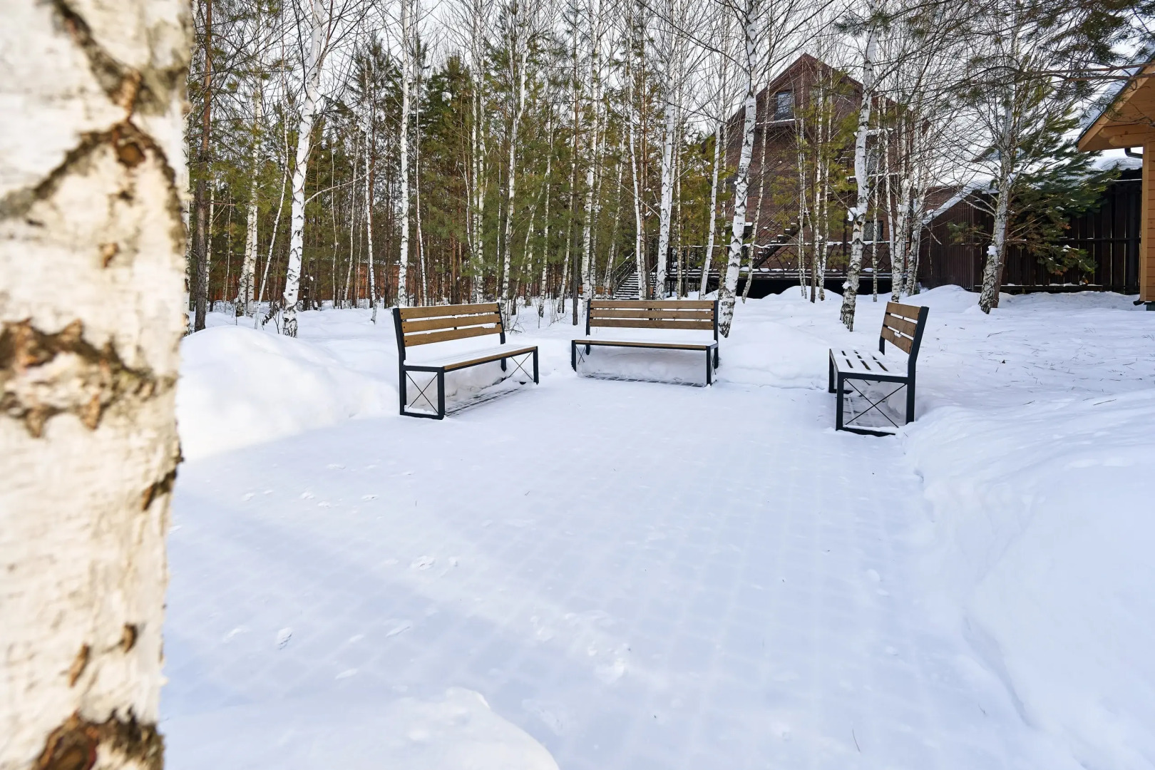 Отель Ель и Пихта