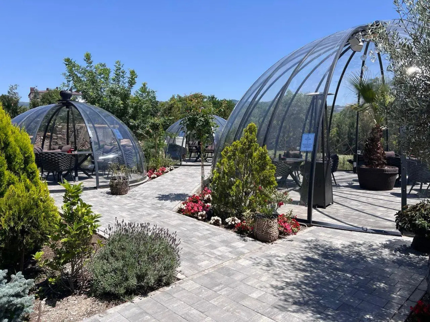 Отель Лотос