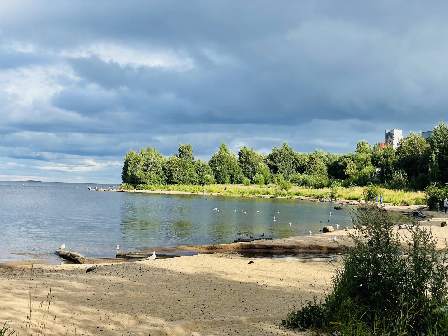 Апартаменты Ярви Комфорт