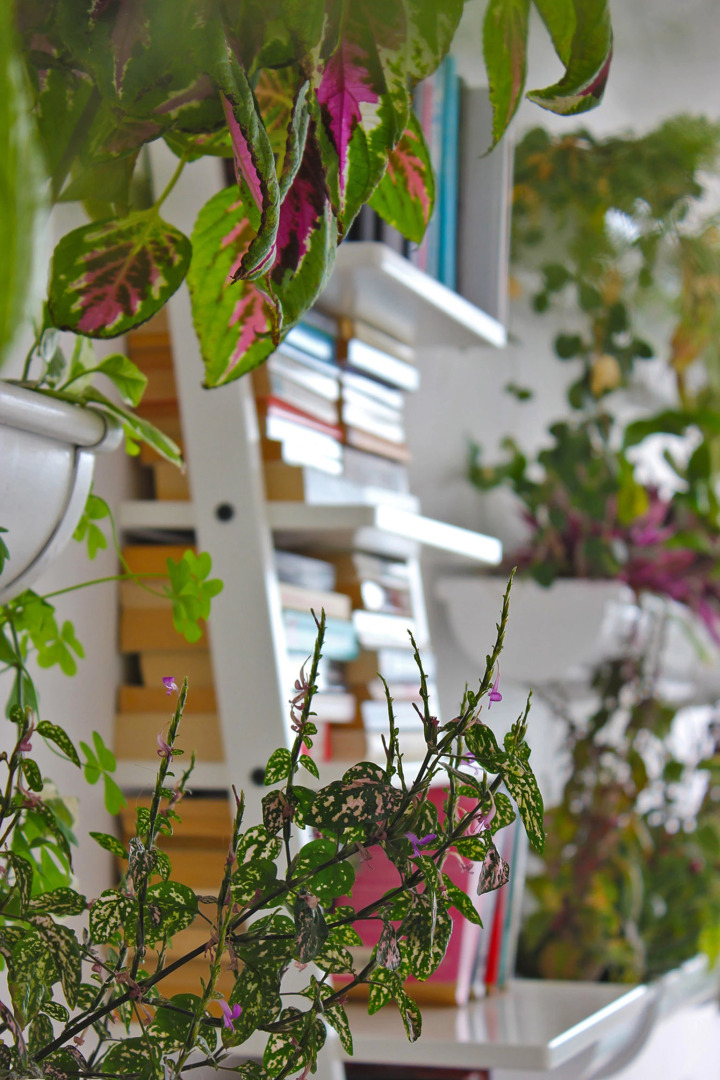 Апарт-отель Gelimar