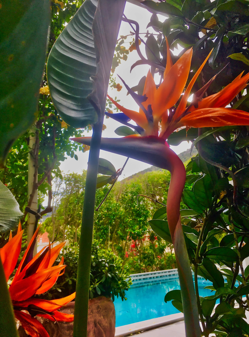 Гостевой Дом Villa Efyra