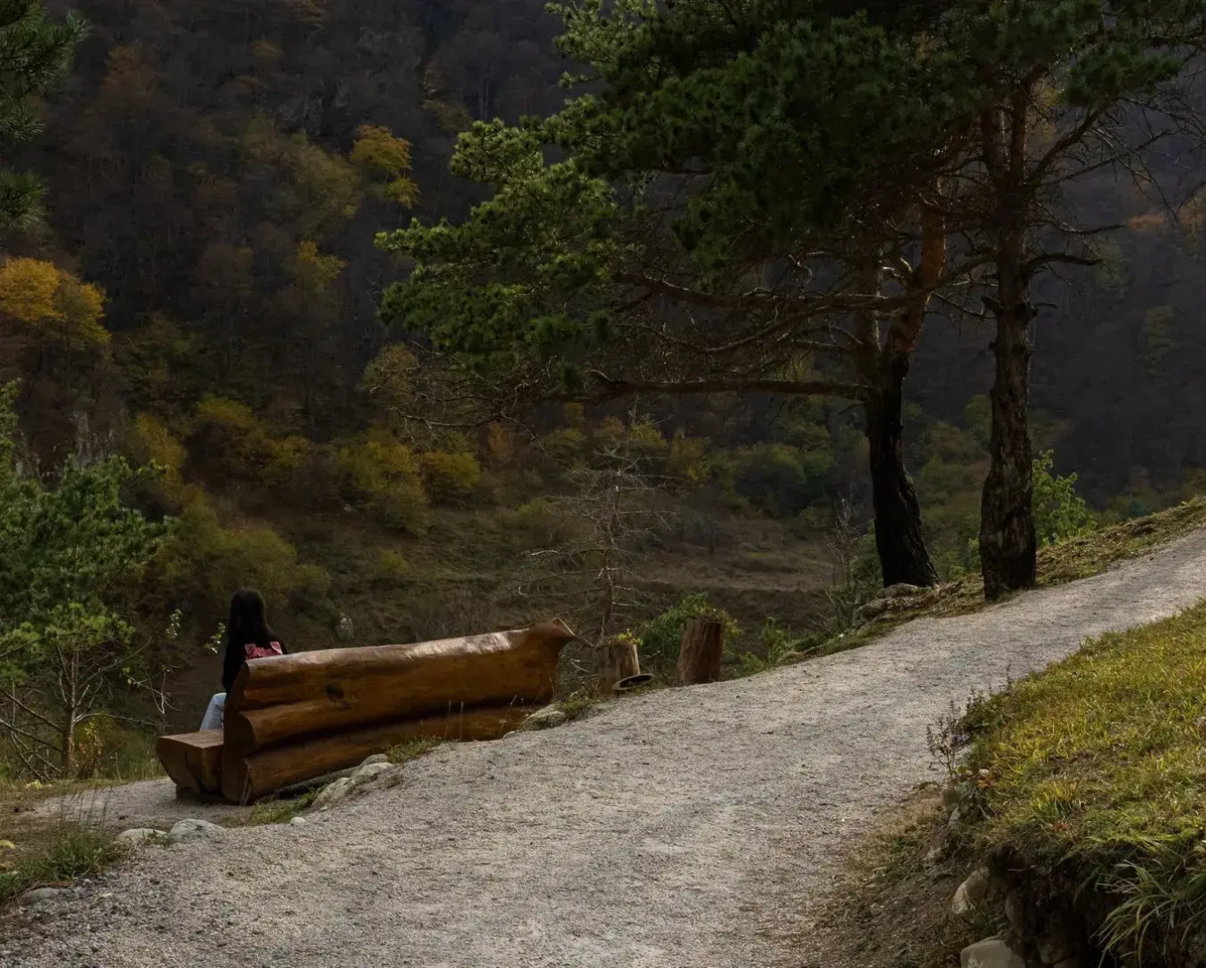 Отель Forrest Terrace