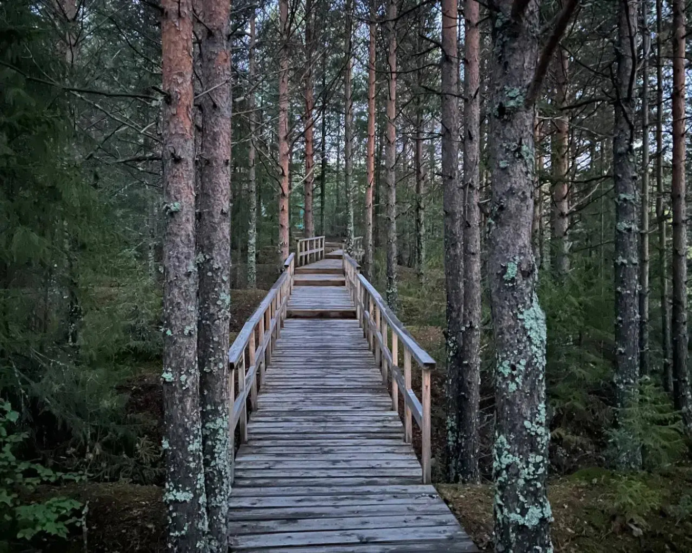 Частный дом на улице Ленина 45А