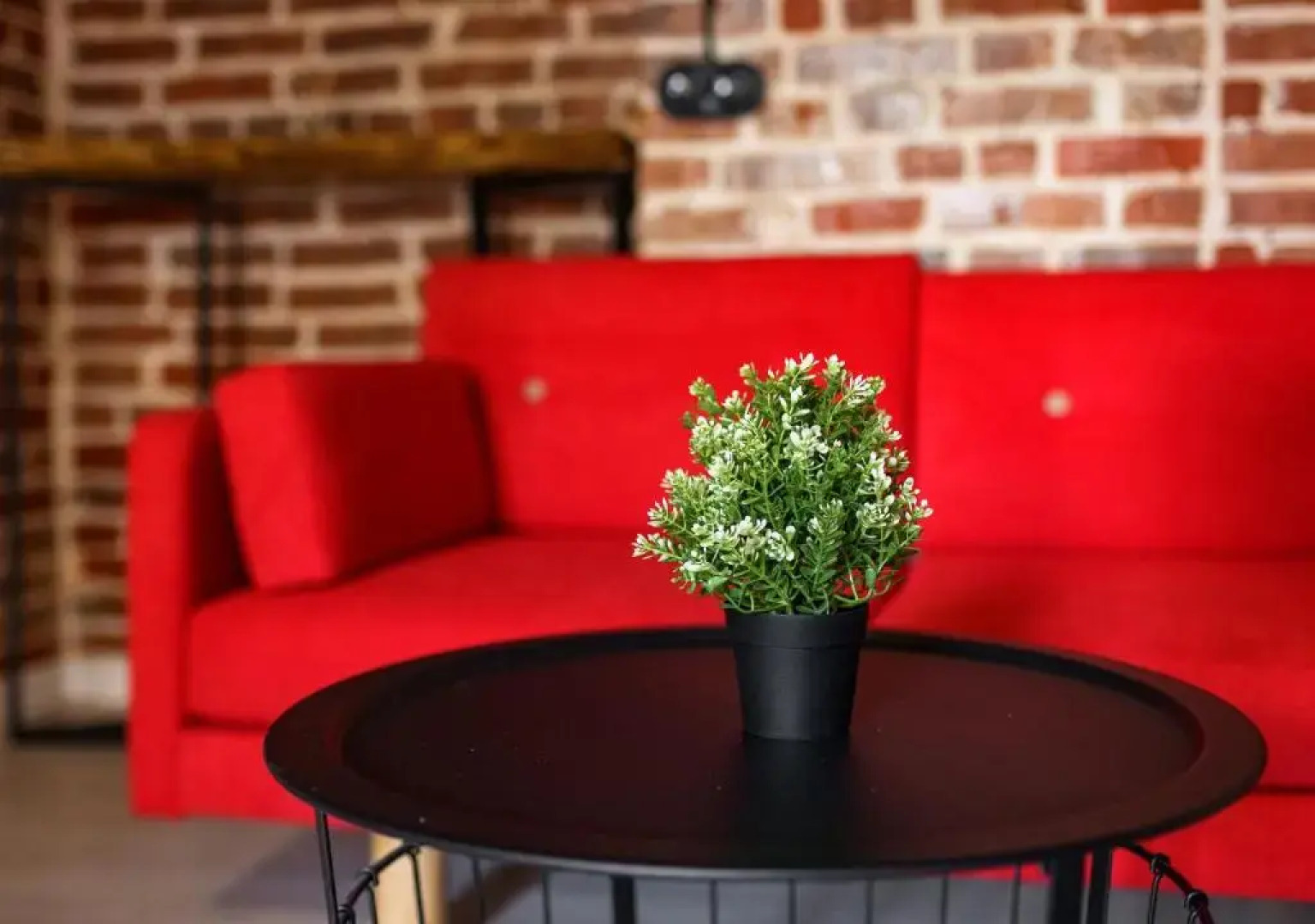 Квартира Толстой Loft