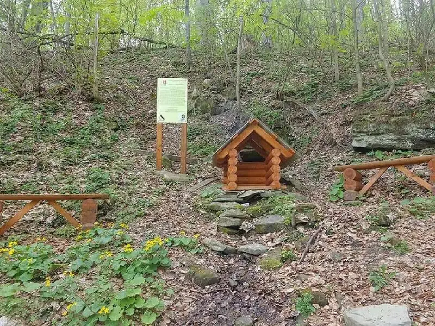 House With Mountain Views