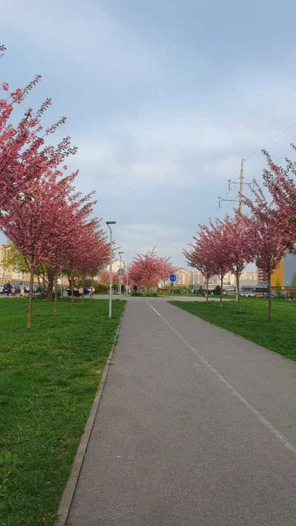 Квартира на Сельме