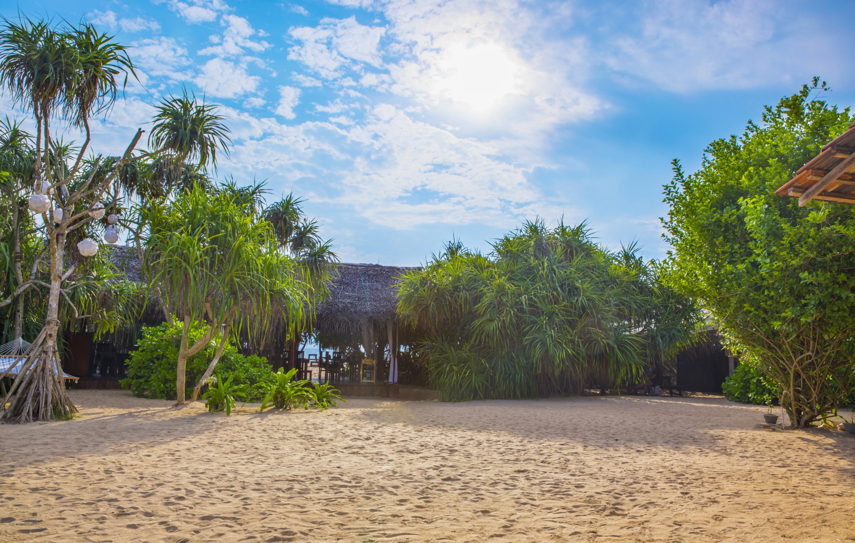 Отель Jungle Beach Camp Ahungalla