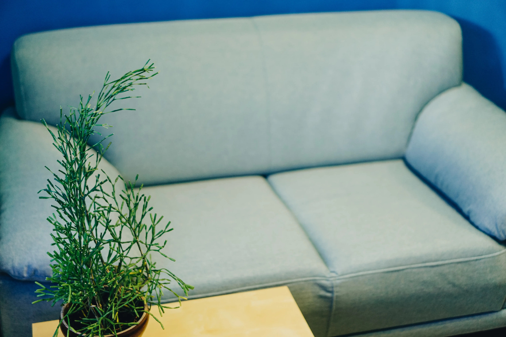 Меблированные комнаты Норка