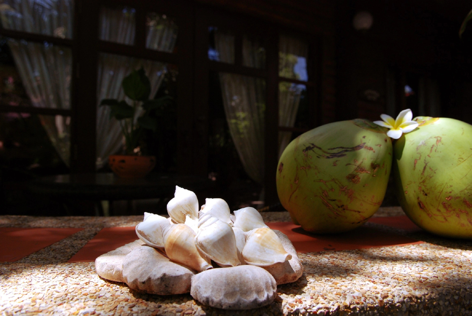 Вилла Polina Park