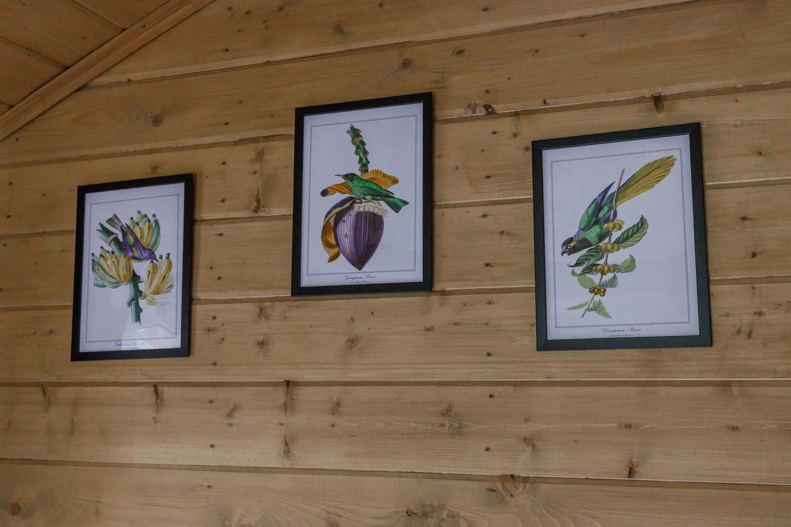 Частный дом 47м в лесной зоне рядом со Звенигородом