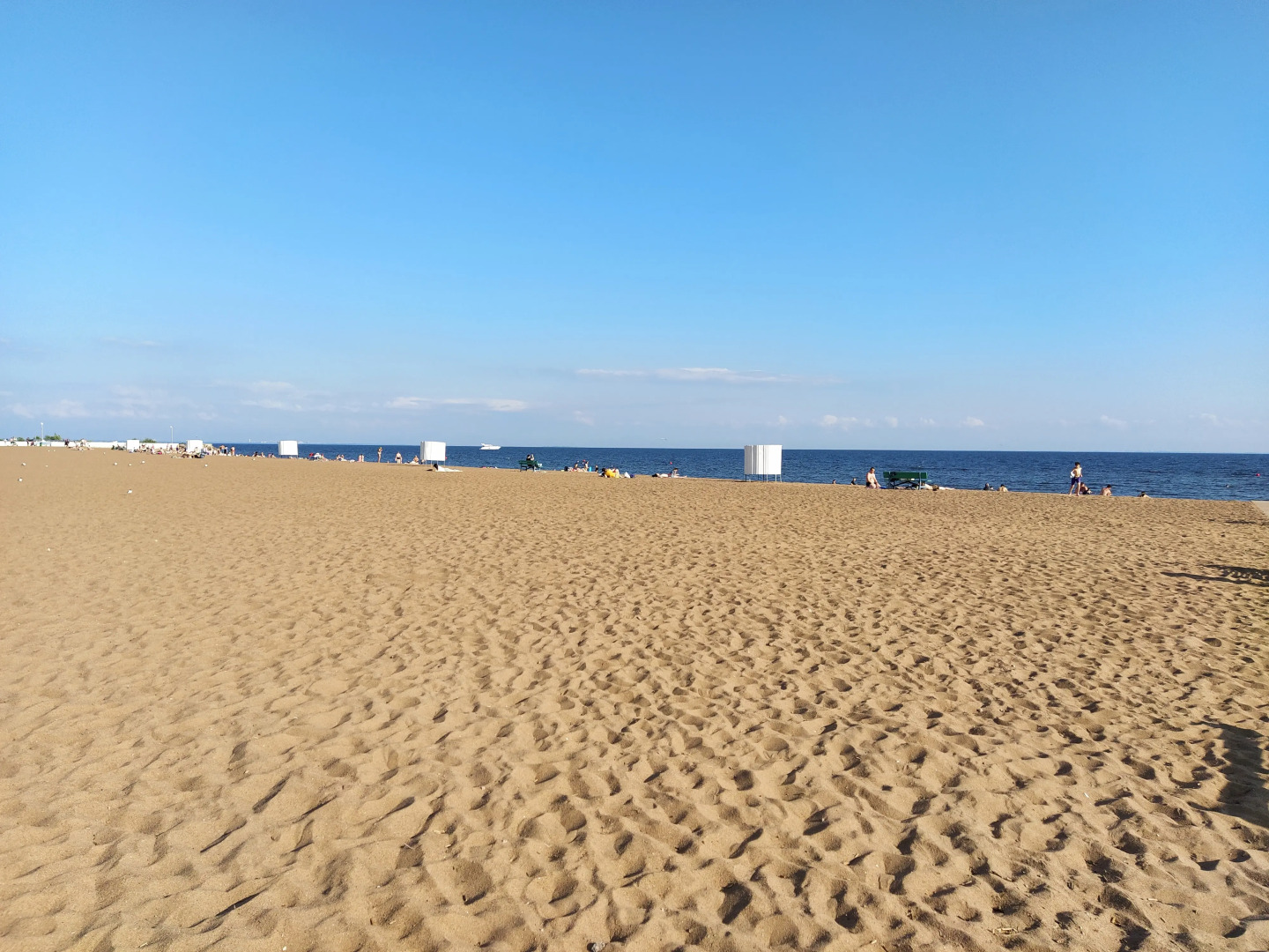 Квартира Приморское шоссе 549