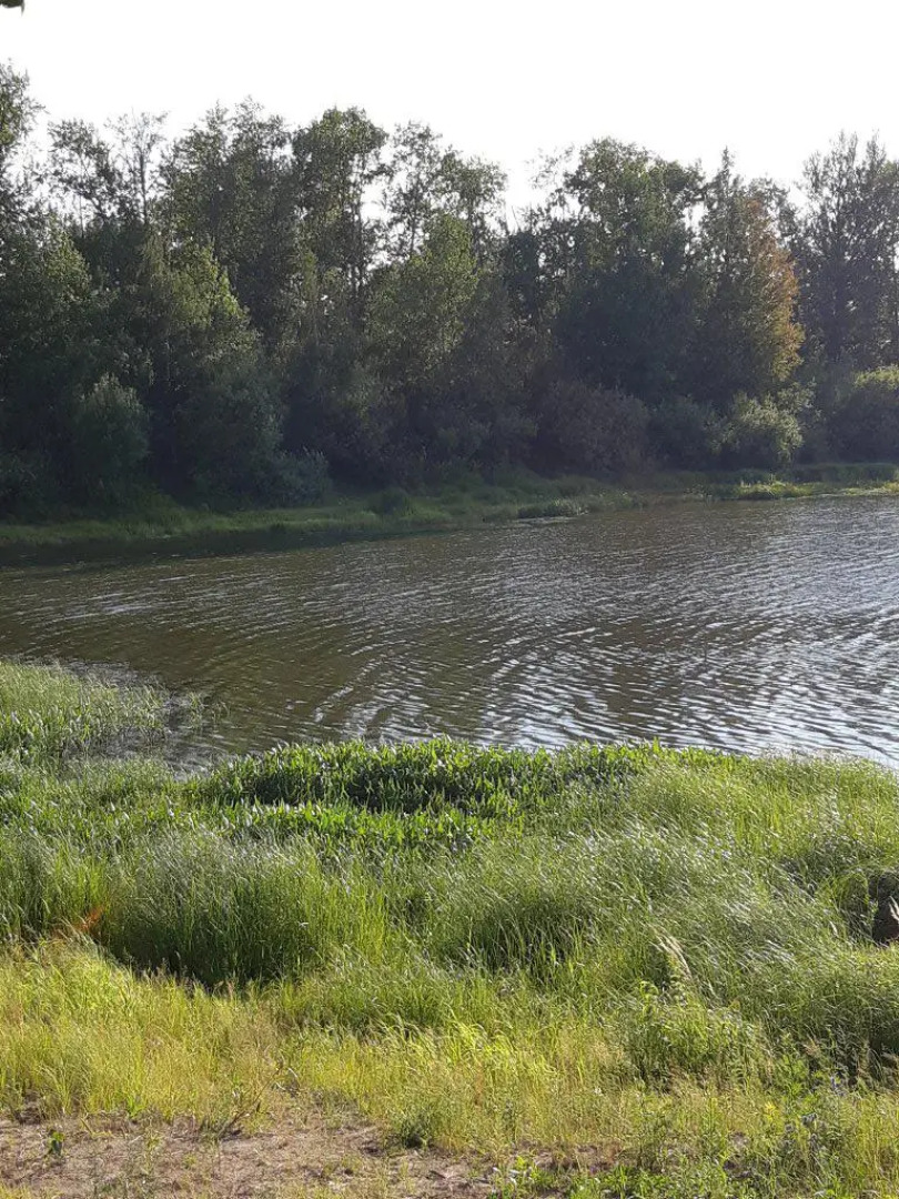 Гостиный Дом Усадьба