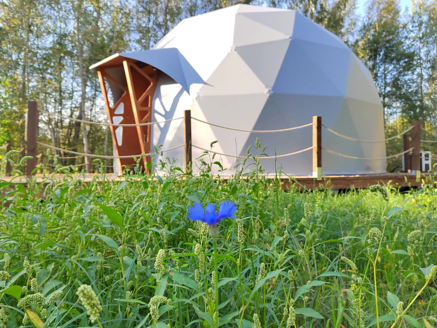 Глэмпинг Князь Гвидон