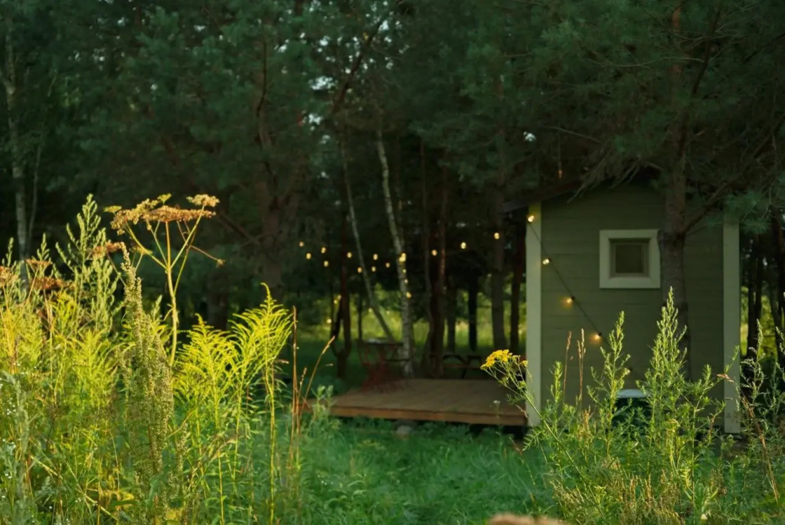 Глэмпинг Дача Хвоя