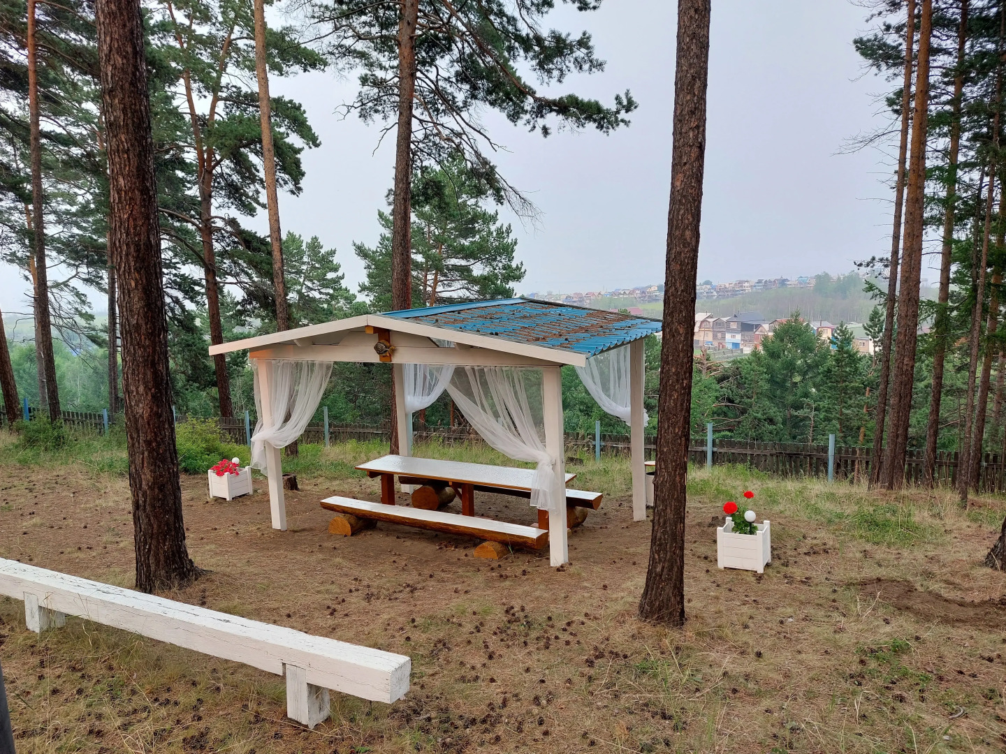 Золотая Рыбка