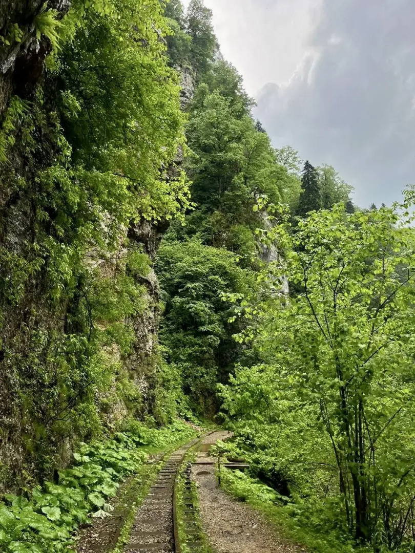 Частный дом Grey House - Частный дом