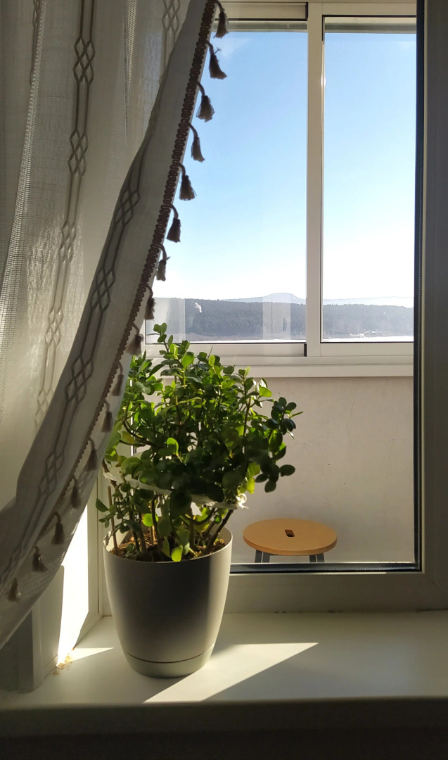 Квартира Таганай