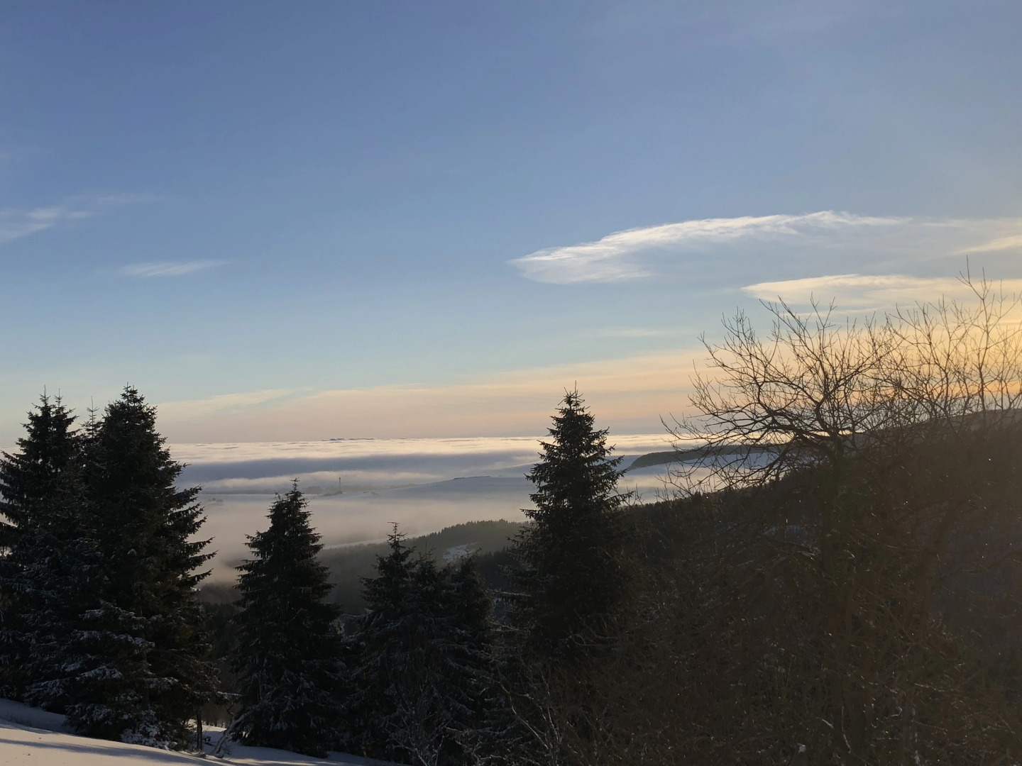 Апартаменты Fichtelbeger Blick