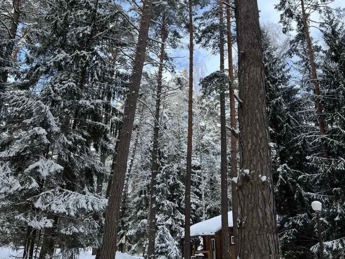 Отель Крутой яр