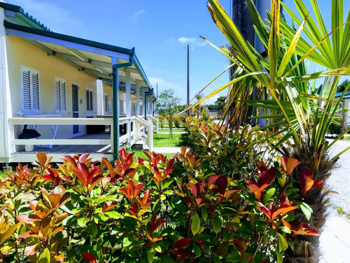 Бунгало MCM Camping