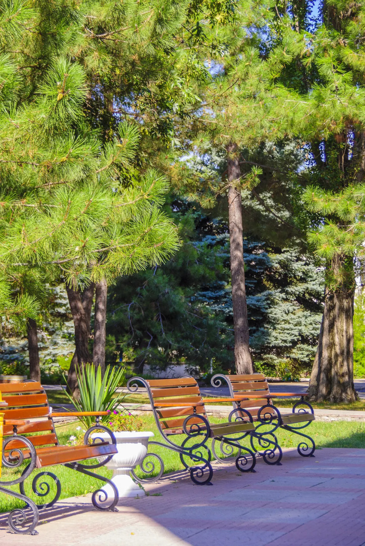 Санаторий Родник