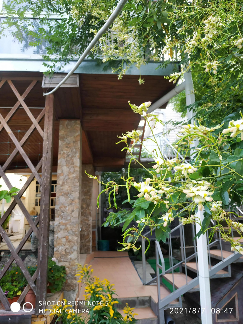 Гостевой дом на Халтурина 4