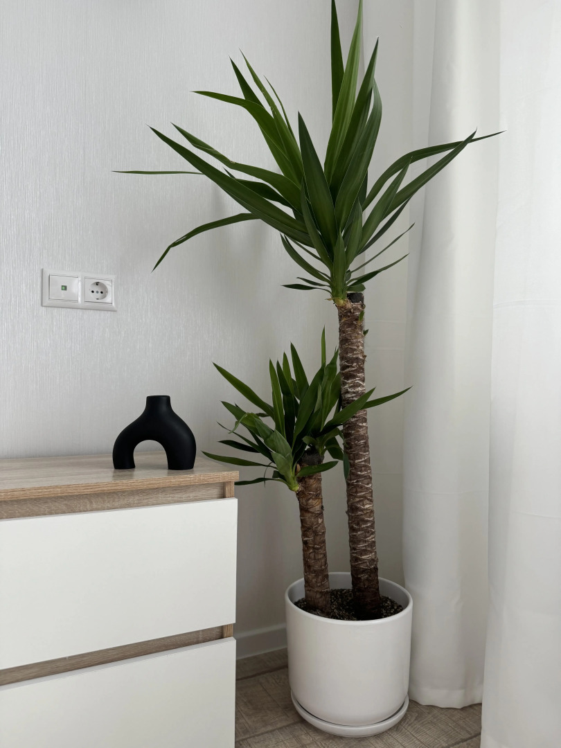 Квартира Уютная с Панорамным Видом