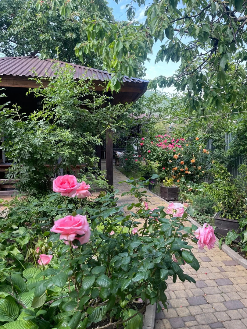 Гостевой дом Роза в Геленджике