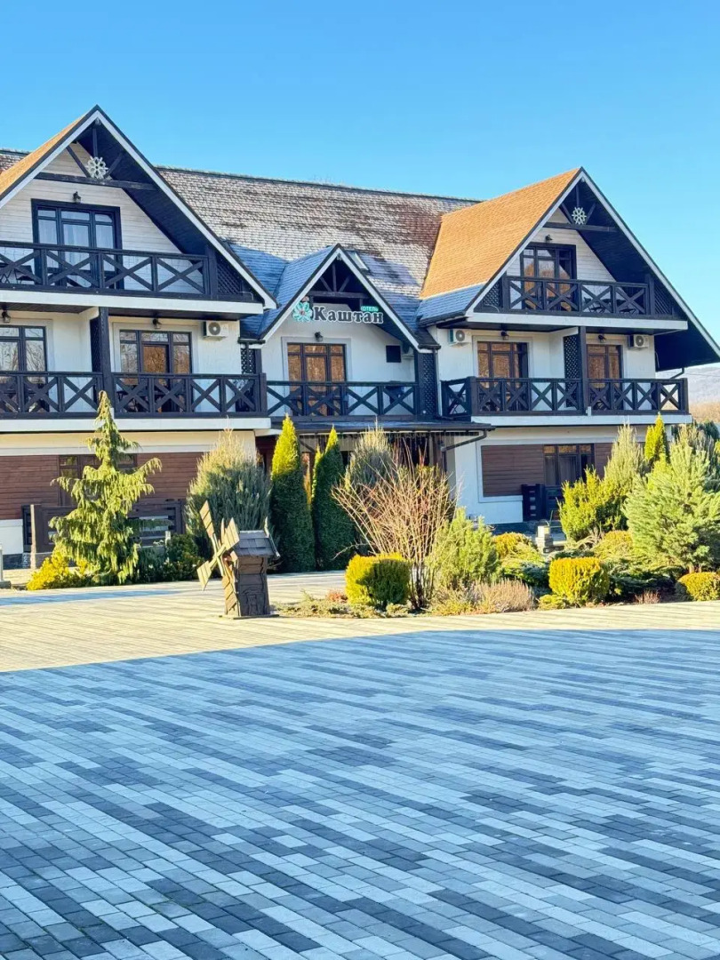 Отель Каштан