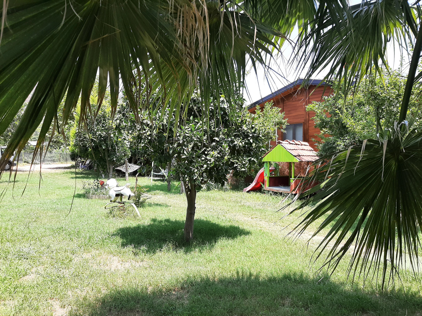 Bed&Breakfast Flora Pansiyon