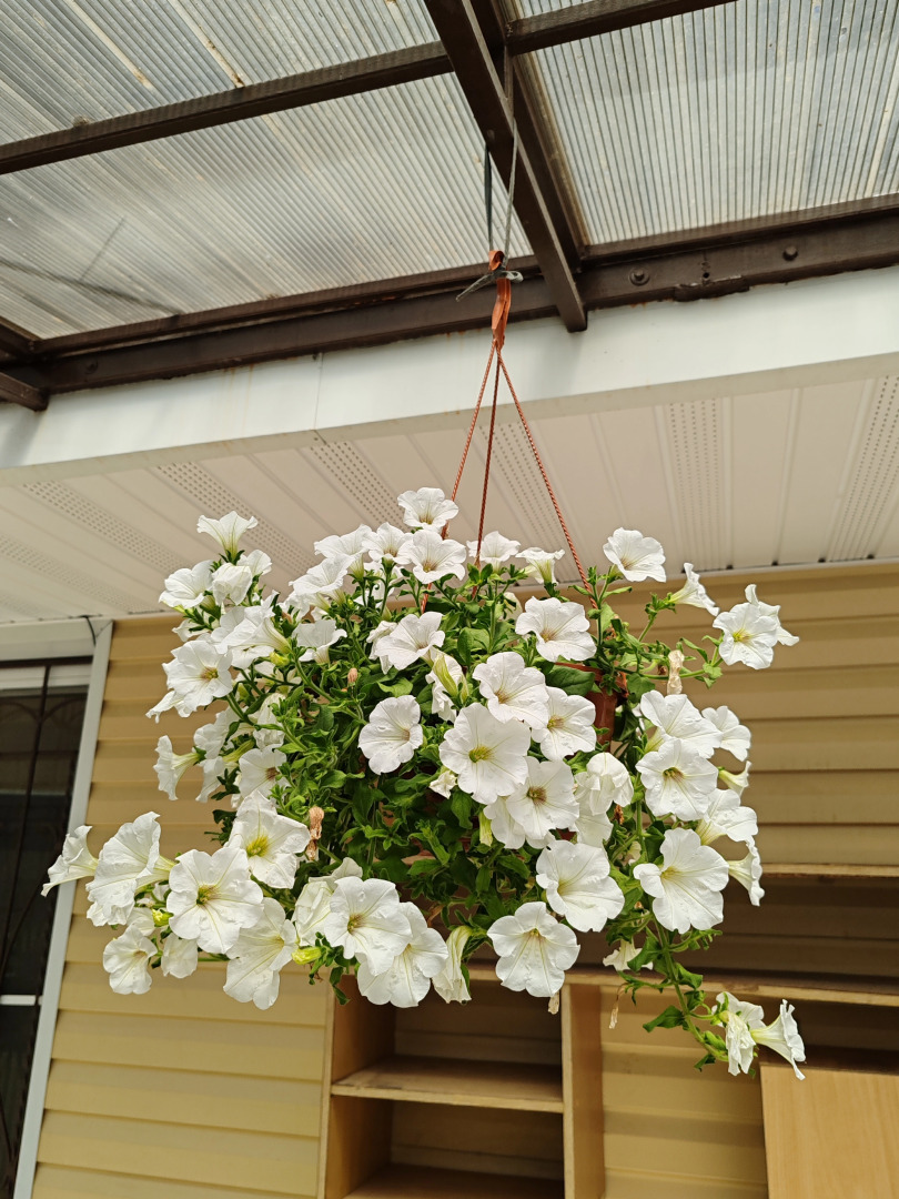 Гостевой дом на Цитрусовой