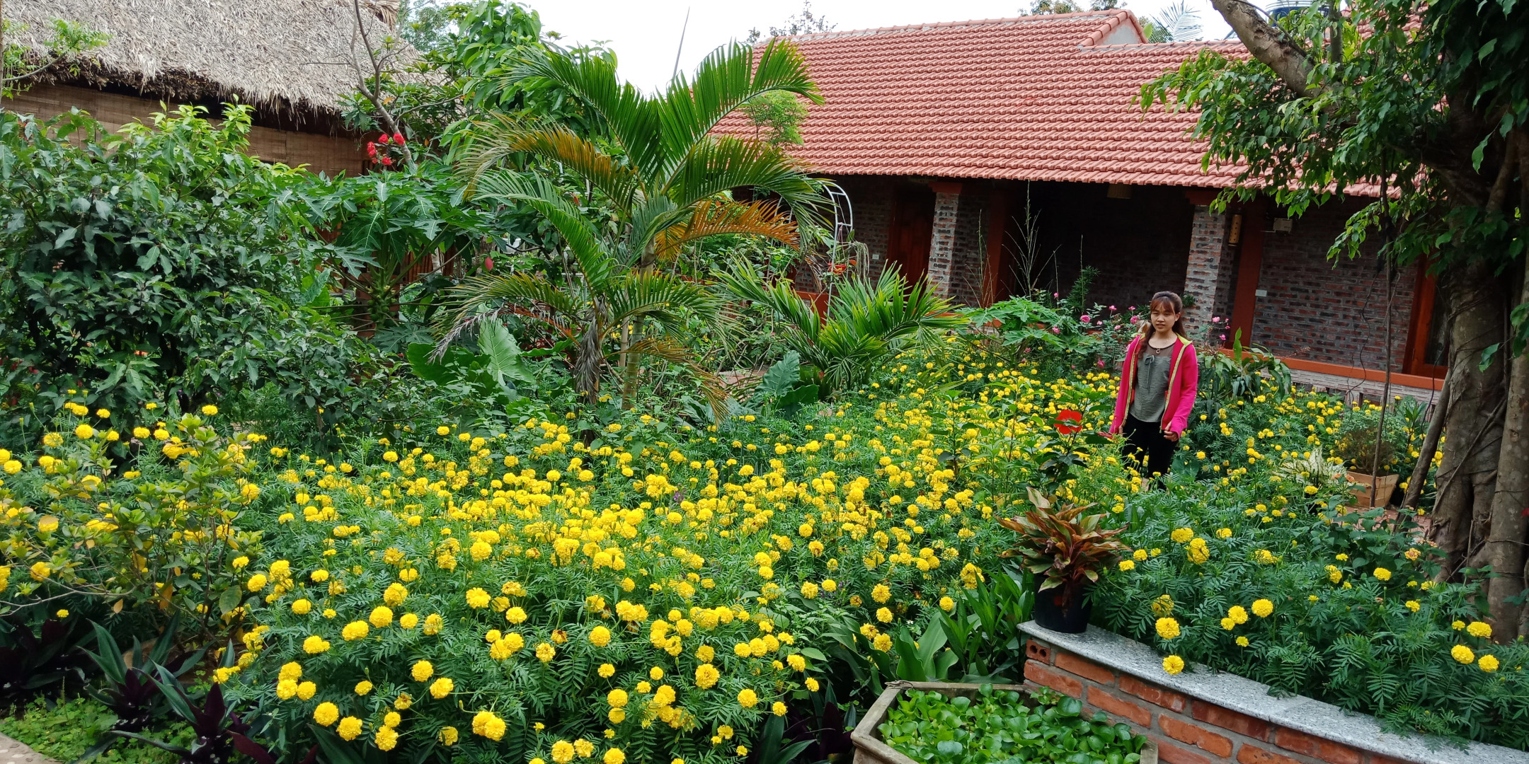 Отель Ninh Binh Eco Garden