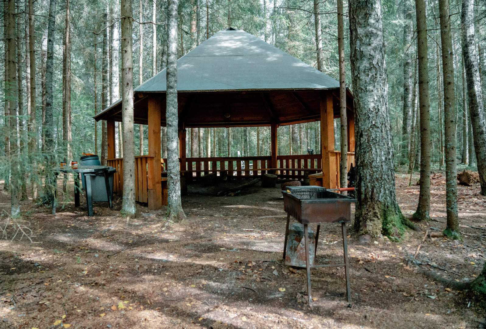 Шале Валдайская Робинзонада