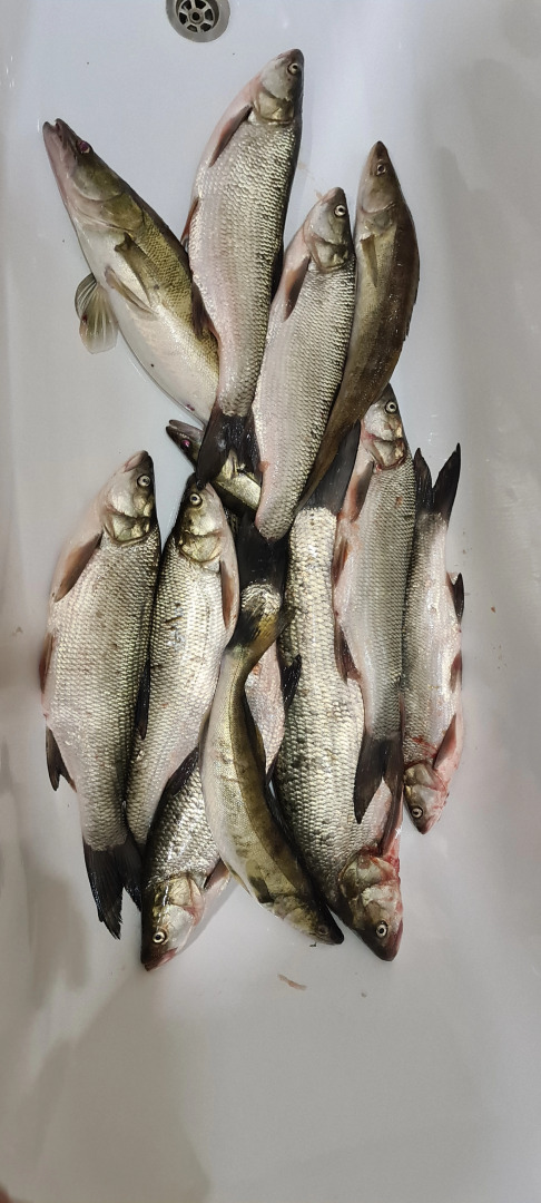 Гостевой дом СабуровДом