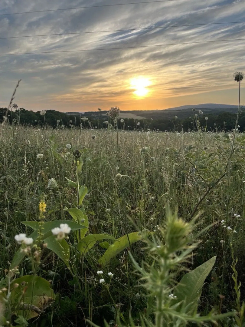 Частный дом Дизайнерский Барнхаус