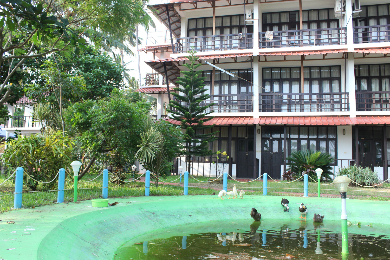 Отель True Blue Beach Resort