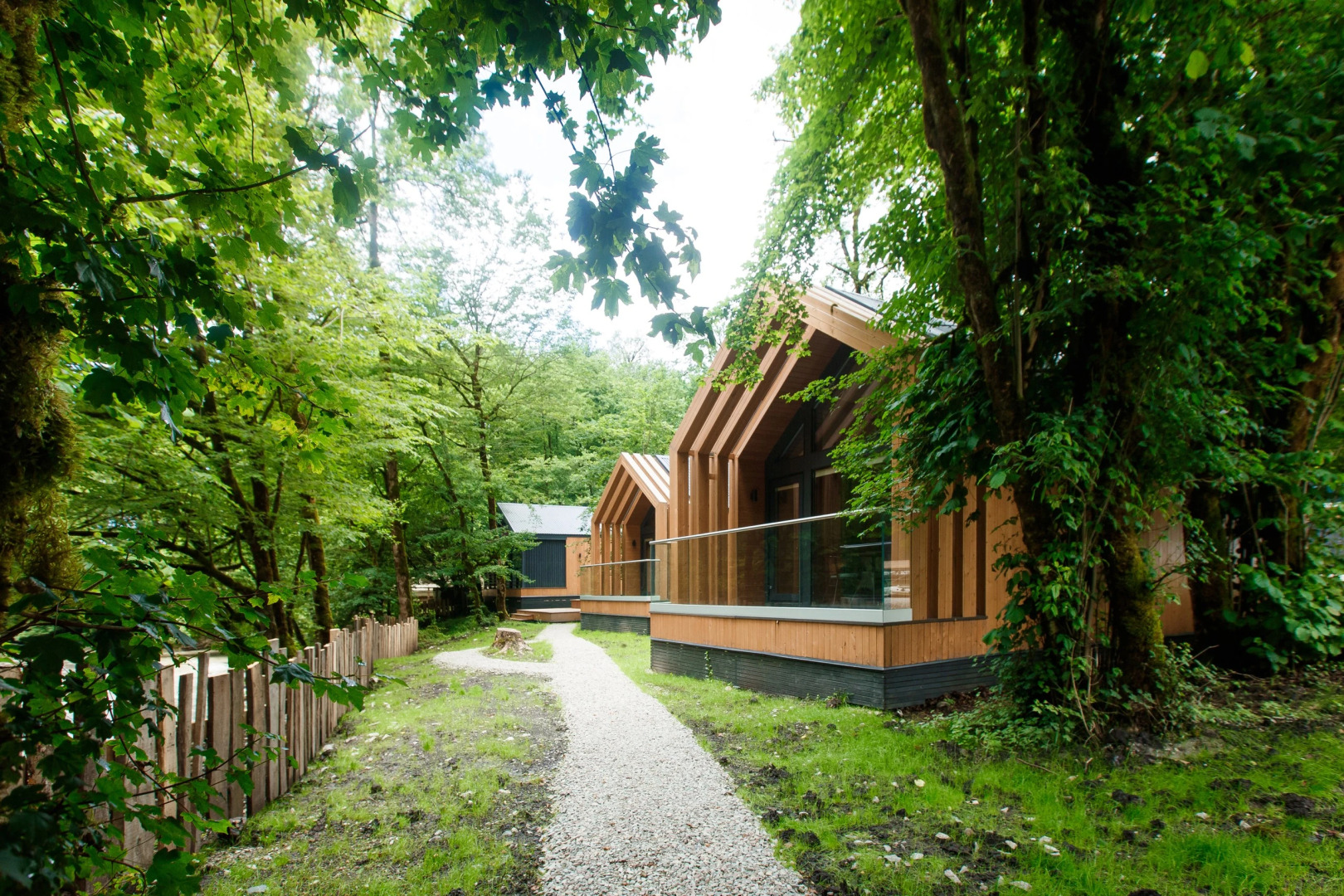 Глэмпинг Енот