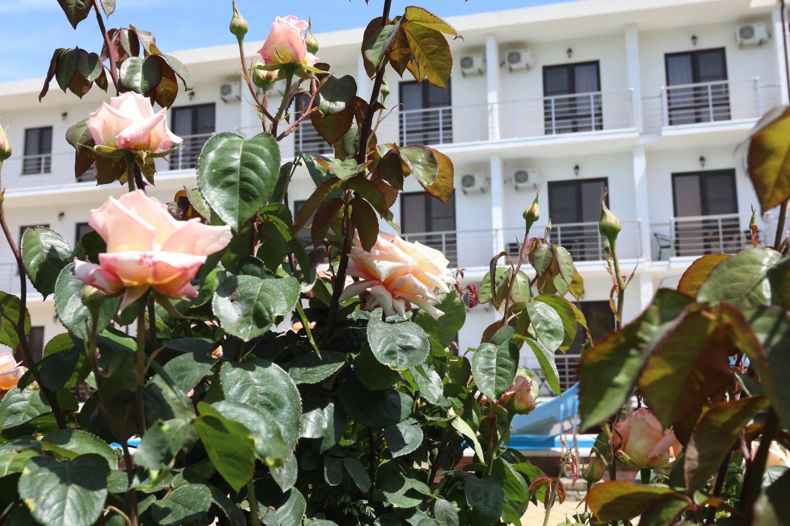 Гостевой Дом Династия (корпус 2)