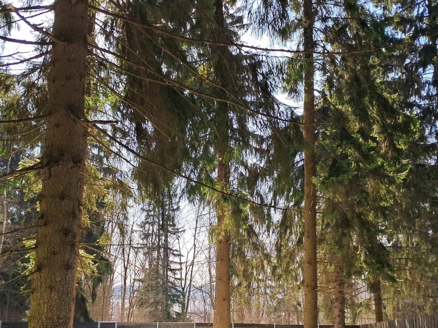 Частный дом Greenholt