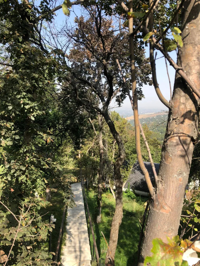 Глэмпинг Apple Resort