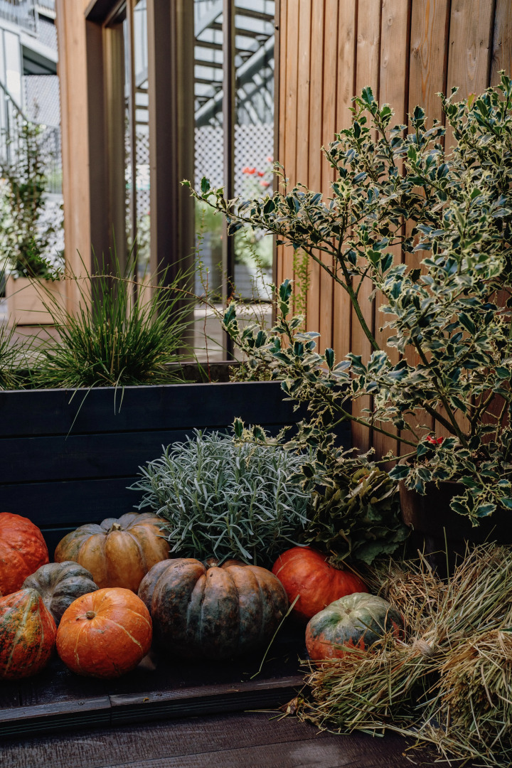 База Отдыха Счастье в Горах